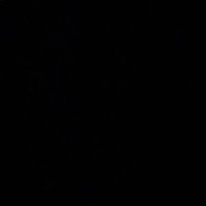 Meet your Posher, Ethan